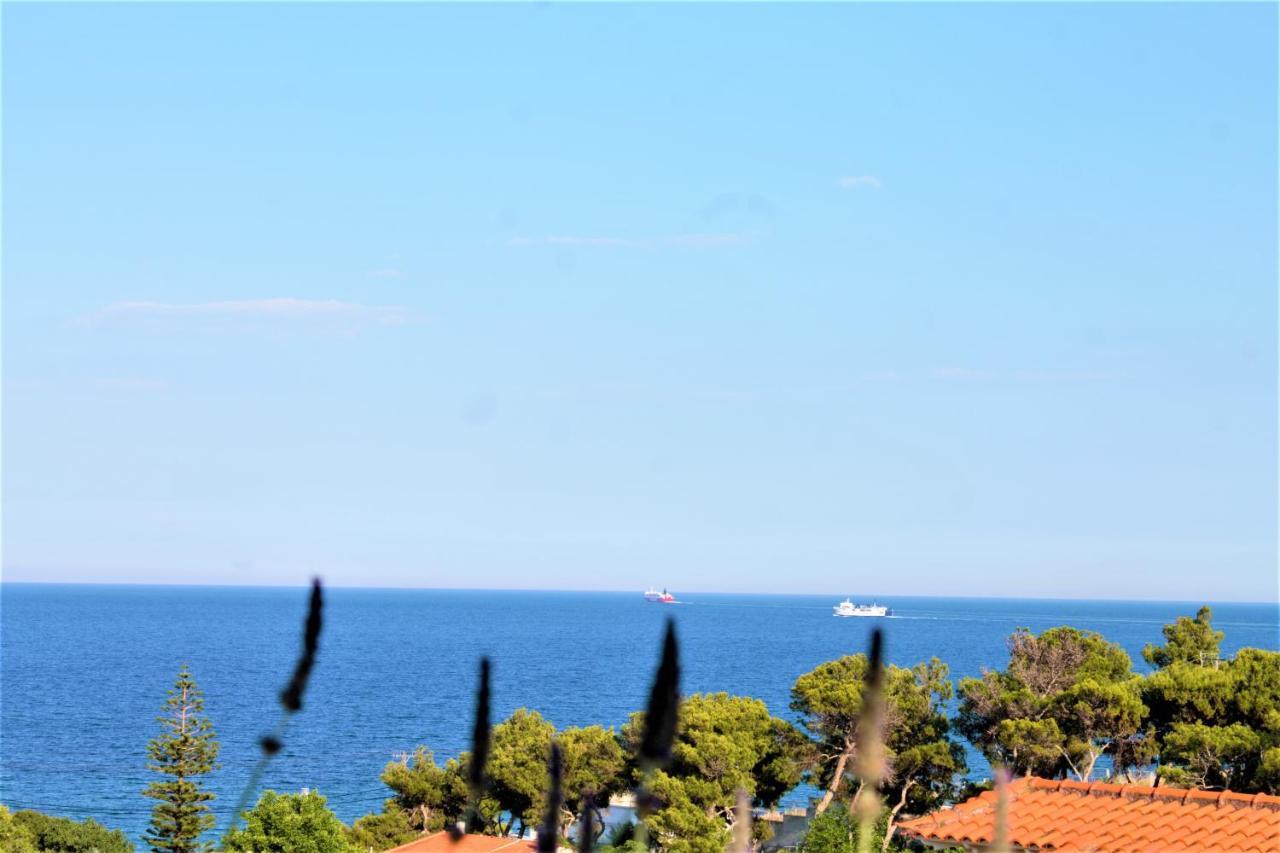 Sea View Apartment 15 Min From Athens Airport Неа-Макрі Екстер'єр фото